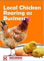 Local chicken rearing as business